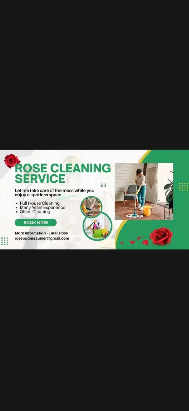 Cleaner housekeeper
