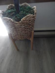 Wooden Plant Stand, Adjustable - Photo 5