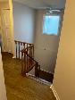 Markham renovated 4 1 bedroom & In Law Apartment  separate entra - Photo 10
