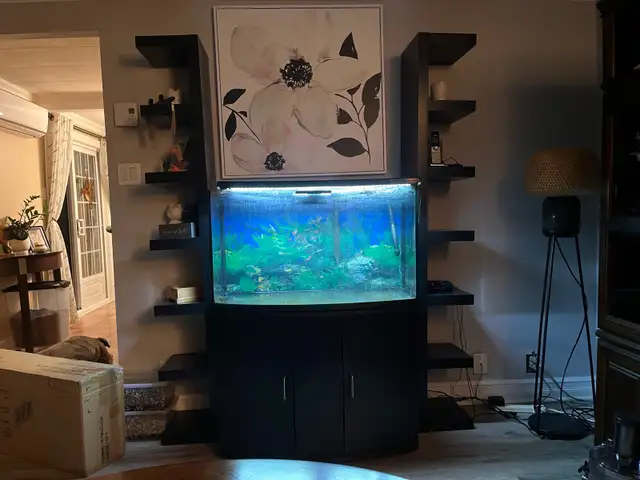 Aquarium 50 gallons