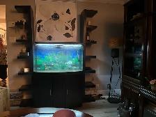 Aquarium 50 gallons - Photo 2