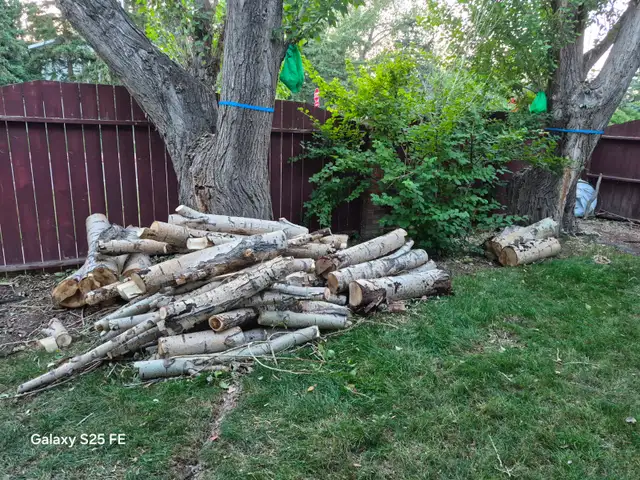 Free Firewood!