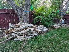 Free Firewood!