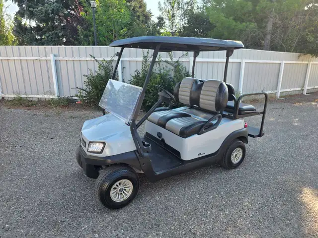 Electric Golf Cart (With Rear Seat)