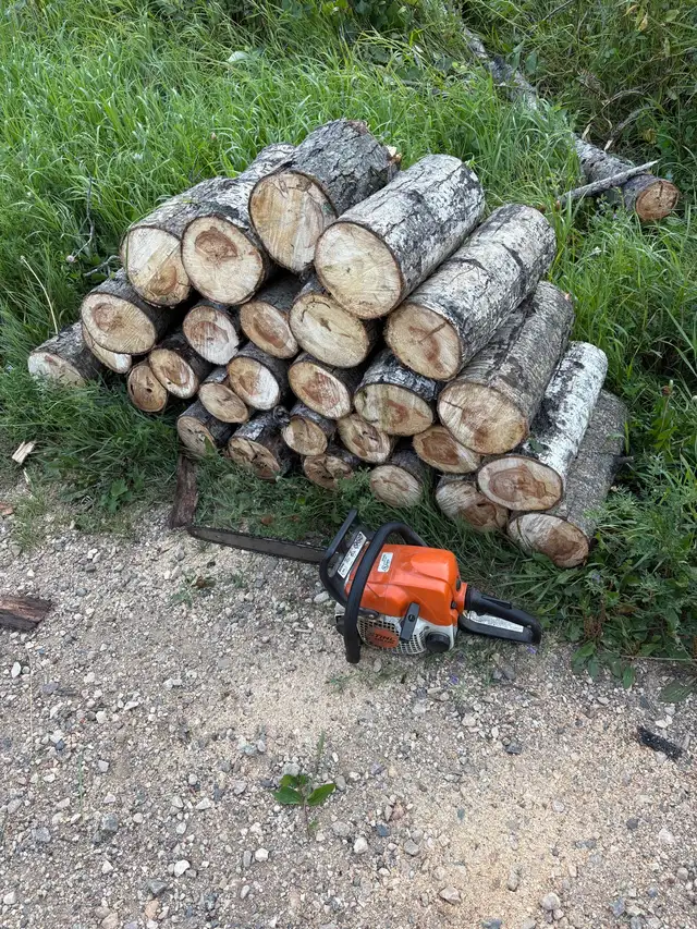 seasoned fire wood