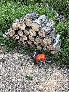 seasoned fire wood
