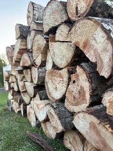 seasoned fire wood - Photo 2