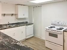 Very Spacious Lower Suite located in West Lethbridge - Photo 7