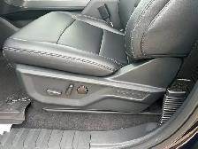 2026 Ford F-150 XLT - Photo 15