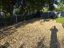Pegasus Services | Property Maintenance Services - Photo 5