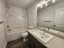 Single Bedroom Basement Suite in Brighton - Photo 10