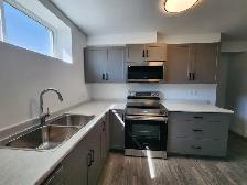 Single Bedroom Legal Basement Suite for Rent (Brighton) - Photo 4