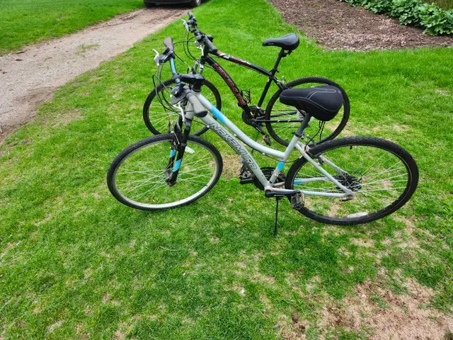 Ladies Commuter Bike For Sale