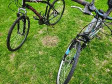 Ladies Commuter Bike For Sale - Photo 9