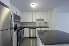 1 Bedroom Apartment for Rent - 65-85 Silver Springs Blvd - Photo 4