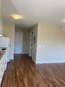 55  Seniors Studio Apartment in secure building - Photo 4