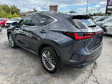 2024 Lexus NX 350h Luxury Hybrid AWD - Photo 4