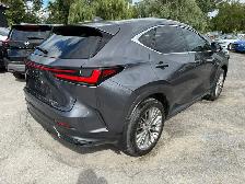 2024 Lexus NX 350h Luxury Hybrid AWD - Photo 6