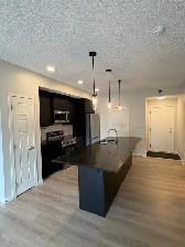 1 bed   den, 2 bath unit located in the SW area of Belmont - Photo 3