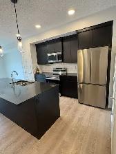 1 bed   den, 2 bath unit located in the SW area of Belmont - Photo 4