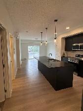 1 bed   den, 2 bath unit located in the SW area of Belmont - Photo 5