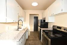 1-Bedroom 1-Bathroom l 4-139 Conveyor Street l Apartment