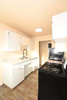 1-Bedroom 1-Bathroom l 4-139 Conveyor Street l Apartment - Photo 2