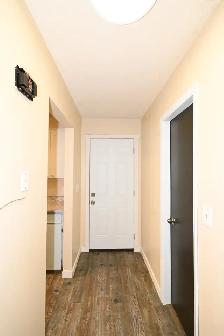 1-Bedroom 1-Bathroom l 4-139 Conveyor Street l Apartment - Photo 4