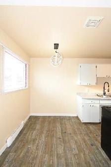 1-Bedroom 1-Bathroom l 4-139 Conveyor Street l Apartment - Photo 5