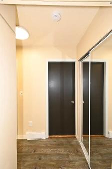 1-Bedroom 1-Bathroom l 4-139 Conveyor Street l Apartment - Photo 11