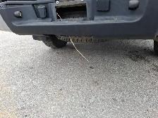 2012 Chevrolet Silverado 1500 - Photo 20