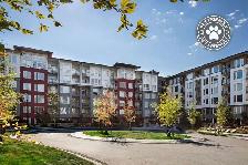 Fraser Flats Apartments - 1 Bedroom   Den available at 3618-3688 - Photo 12
