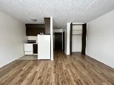 Sands - Bachelor Apartment for Rent