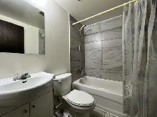Sands - Bachelor Apartment for Rent - Photo 2