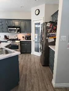 Professional/reliable house cleaner for hire. $35/hour. - Photo 3