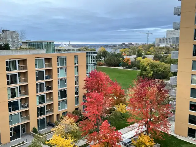 Downtown Ottawa,In-Unit Laundry,One Bedroom Condo,Indoor Parking