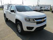 2019 Chevrolet Colorado 2WD Ext Cab 128.3' Work Truck - Photo 3