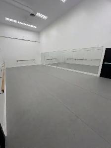 NEW LOCATION - space for rent in Thornhill, Vaughan - Photo 5