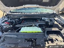 2026 Ford F-150 Raptor - Photo 11