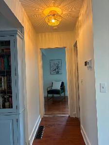 BEAUTIFUL BUNGALOW BY THE LAKE OLD TOWN LOCATION - Photo 7