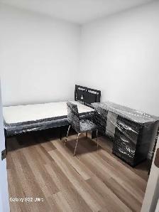 Room rent near York University - Photo 6