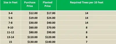 CEDAR TREES FOR SALE AND PLANTING 3-15 FOOT AVAILABLE