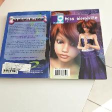 2 LIVRES NEUFS ADO BOOMERANG:VOTRE PASSEPEUR MISS WOOP $5.00CHAQ - Photo 2