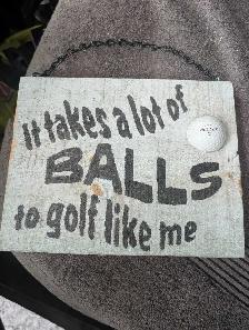 Srixon Z-Star Golf Balls and Pride Tees and shoes - Photo 5