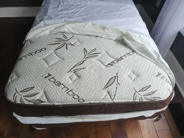 FREE Firm Twin Mattress & Boxspring with Frame