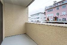 Harbourview Terrace Apartments - 1 Bedroom available at 308 Forb - Photo 7