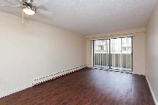 Harbourview Terrace Apartments - 1 Bedroom available at 308 Forb - Photo 8