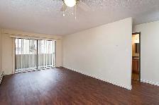 Harbourview Terrace Apartments - 1 Bedroom available at 308 Forb - Photo 9