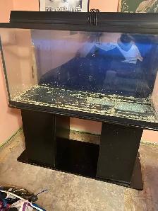 90 Gallon Aquarium