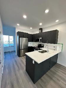 New Build - Photo 5